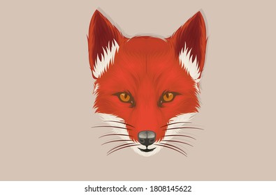 Fox illustration is just a hand drawn head