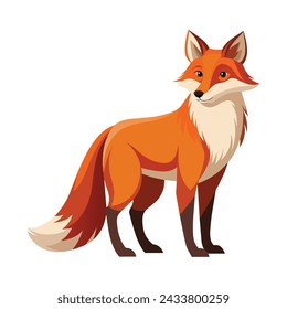 Fox Illustration on White Background