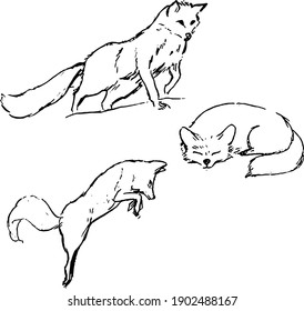 Fox ink drawings set. Wildlife animals simple sketches collection. Vector isolated elements. Forest theme minimal style. 