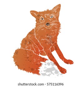 Fox isolated texturized on white background. Vector zoo