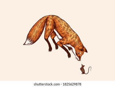 Fox in a jump pose. The animal hunts for a mouse. Forest ginger beast. Vector Engraved hand drawn Vintage sketch for label or poster.