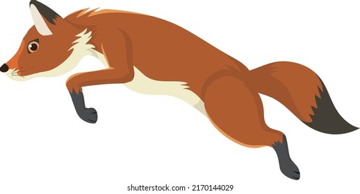 A fox jumping isolated illustration