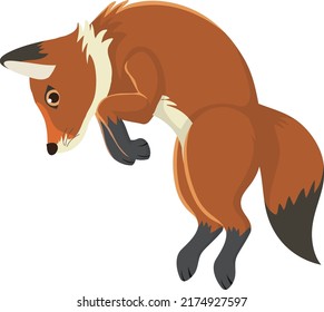 A fox jumping isolated illustration
