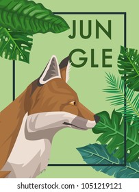 Fox in the jungle