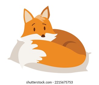 Fox lies on pillow inside their cozy home. Wild forest animal. Flat cartoon character. Vector Illustration