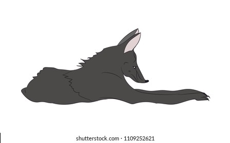 fox lies, vector, white background