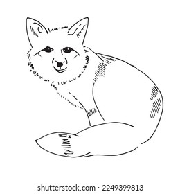 Fox line art sketch illustration. Vector simple