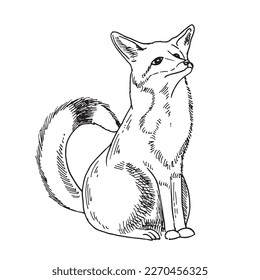 Fox line art sketch illustration. Vector simple