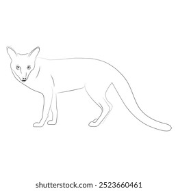 Diseño de Vector de arte de línea Fox. Fox diseño de ilustración de contorno.