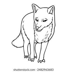 fox line vector illustration,isolated on white background,top view