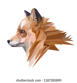 Fox, little prince, lowpoly