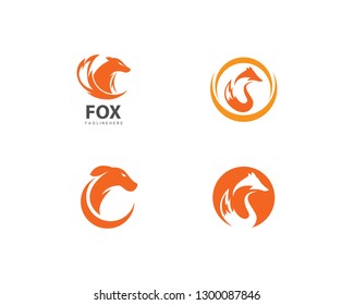 Fox logo vector template