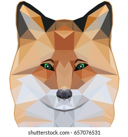 Fox low poly portrait. Abstract polygonal illustration.