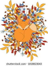 Fox lying in autumn leaves and branches in vector illustration