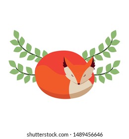 fox mammal happy autumn season flat design