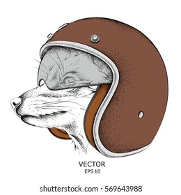 Fox in a motorcycle helmet. Vector illustration