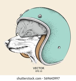Fox in a motorcycle helmet. Vector illustration
