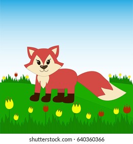 Fox on the field with tulips.