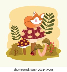 fox on mushrooms and leaves autumn
