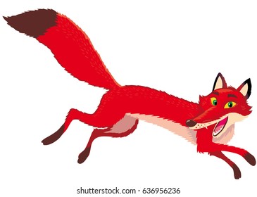 Fox on the run