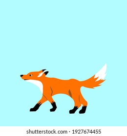 Fox On Sky Background Vector