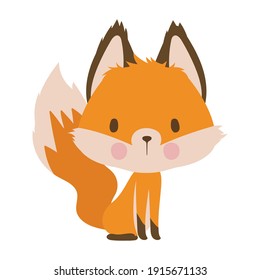 fox on a white background vector illustration design