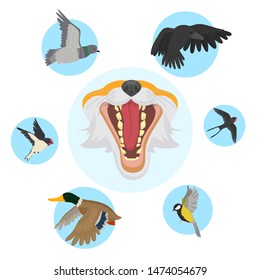 Fox open mouth head and foxes food and diet of birds vector illustration. Cartoon and realistic fox and birds isolated on white background. Fox nutrition infographics.