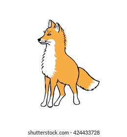 Fox. Outline with color background. Vector illustration.