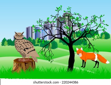 Fox and owl illustration