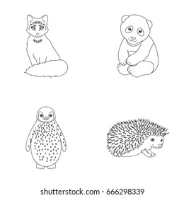 Fox, panda, hedgehog, penguin and other animals.Animals set collection icons in outline style vector symbol stock illustration web.