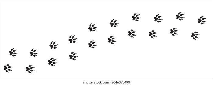 Fox paw print trail. Dog, cat paws foot print trace. background vector illustration.