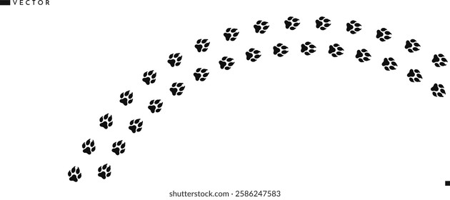 Fox paw prints vector illustration. Wild animal track. American red fox paw prints 