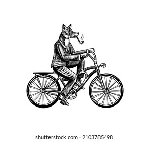 A fox with a pipe in a suit rides a bicycle and pedals. Fashion animal character. Hand drawn woodcut outline sketch. Vector engraved illustration for logo and tattoo or T-shirts.