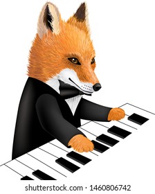 Fox playing piano idea for t-shirt print