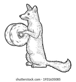 Fox plays a musical instrument, cymbal. Sketch scratch board imitation.