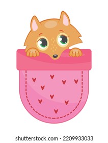 Fox in pocket. Cute orange animal peeks out from behind pink piece of fabric in semicircular shape. Sewing and needlework. Clothing element, fashion and style. Cartoon flat vector illustration