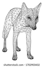 Fox polygonal lines illustration. Abstract vector fox on the white background