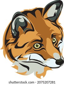 Fox, portrait, color, fox's snout, vector, silhouette, set, portrait of foxes in different versions