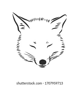 Fox portrait. Hand drawn vector illustration. Can be used separately from your design. portrait of a Fox, Fox head vector sketch illustration