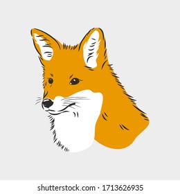 Fox portrait. Hand drawn vector illustration. Can be used separately from your design. portrait of a Fox, Fox head vector sketch illustration