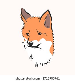 Fox portrait. Hand drawn vector illustration. Can be used separately from your design. portrait of a Fox, Fox head vector sketch illustration