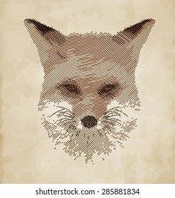 Fox Portrait - Sketch Style Animal Drawing Vector Design