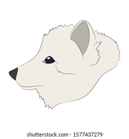 fox portrait vector illustration, color illustration, wild world, vector, white background