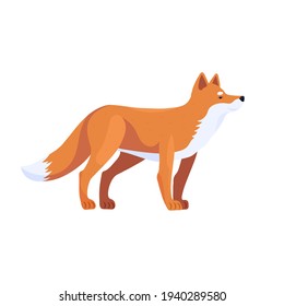 Fox. Predator. Vector illustration of animals in cartoon style.