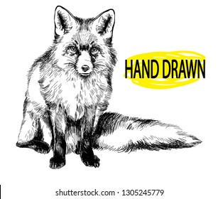 
Fox  Professional drawing in vintage style  Cute fluffy fox  Arctic fox in winter coat  Freehand drawing  Ink drawing  drawing pen 