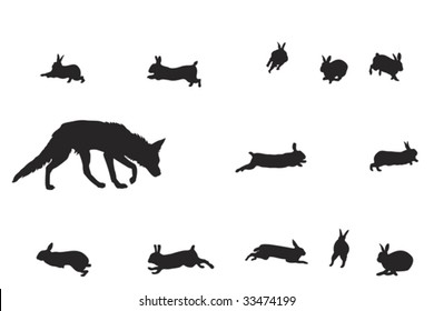 fox and rabbits