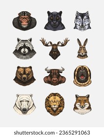 Fox and raccoon, dog Deer and hare, panther and wolf monkey Polar bear and lion, Brown bear and bull.. Animal in vintage style. Retro vector illustration. Doodle style. Hand drawn engraved sketch