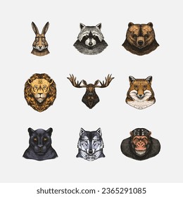 Fox and raccoon, dog Deer and hare, panther and wolf monkey Polar bear and lion, Brown bear and bull.. Animal in vintage style. Retro vector illustration. Doodle style. Hand drawn engraved sketch