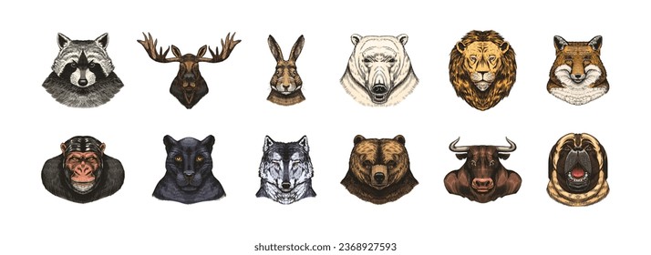 Fox and raccoon, dog Deer and hare, panther and wolf monkey Polar bear and lion, Brown bear and bull.. Animal in vintage style. Retro vector illustration. Doodle style. Hand drawn engraved sketch