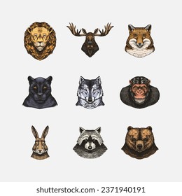 Fox and raccoon, dog Deer and hare, panther and wolf monkey Polar bear and lion, Brown bear and bull.. Animal in vintage style. Retro vector illustration. Doodle style. Hand drawn engraved sketch
